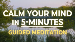 Calm Your Mind in 5 Minutes | Quick Meditation for Anxiety & Overthinking Relief
