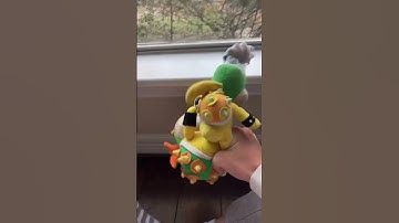 Don’t mess with Bowser Jr.