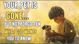 Do Pets Go to Heaven? A Christian Answer That Will Touch Your Heart | Biblical Wisdom