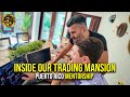 Level Up in Paradise: Puerto Rico Trading Mentorship