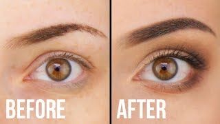 How To Apply Eyeshadow For Absolute Beginners (Makeup 101) || KELLI MARISSA