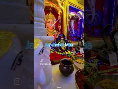 tiger chehar maa uvarsad bhikha bhuvaji ni tiger 🐯 chehar maa ##