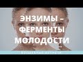 Ольга Левонюк. Энзимы – ферменты молодости