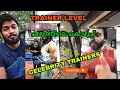 How to choose your trainer  jinto bodycraft celebrity trainer level