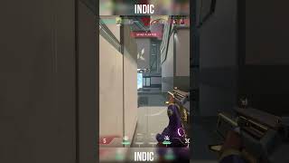 Weird Gekko Ace  #valorant #valorantclips #gaming #funny #troll #valoranthighlights #valorantaces