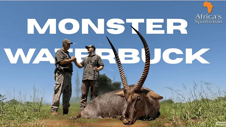 No Pain No Gain - Monster Waterbuck, Blue Wildebeest, Oryx & Impala Hunt in South Africa!