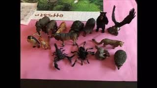Animal Kingdom 4D Puzzles