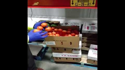 Tomato Quality Inspection