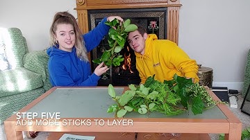 How to Make an Advent Wreath