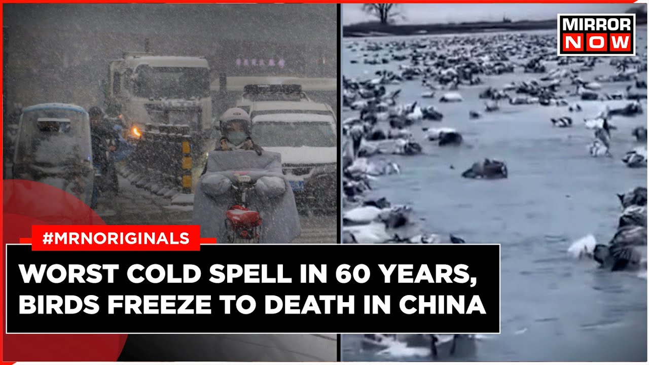 中国最強の気候家　厳新 China Snowstorm | China's Xinjiang Battles Deep Freeze, Coldest