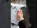 tingles in the snow🤍 #visualtingle #asmrsounds #relax