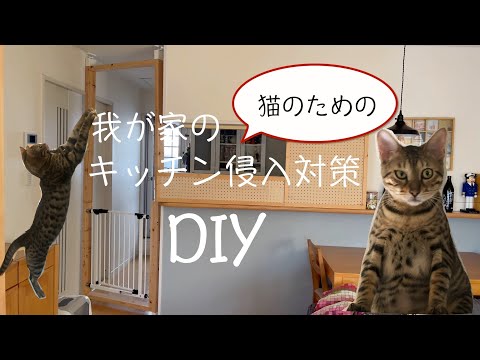 猫がカウンターに乗るのをやめさせる7つの方法｜安全な対策としつけのコツ