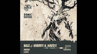 BiGz, Robert R. Hardy - Safar (Original Mix)