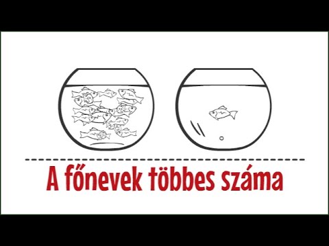 Videó: Mi az ügyfelek többes száma?