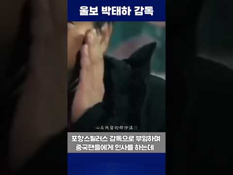 포항스틸러스 울보 박태하감독