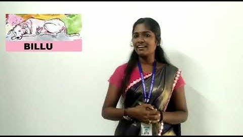 Std 3 English Unit 1 Class 03 White Board ID