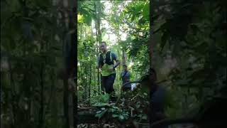 Wagubsu di Gunung Leuser #shorts
