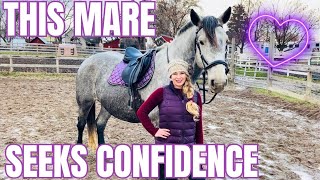 Retraining My Auction Mare: Grooming, Tacking Up, and Lunging with Confidence