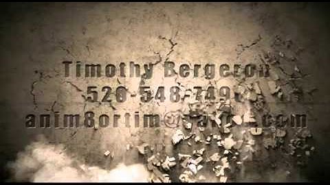 animation demo reel 2015