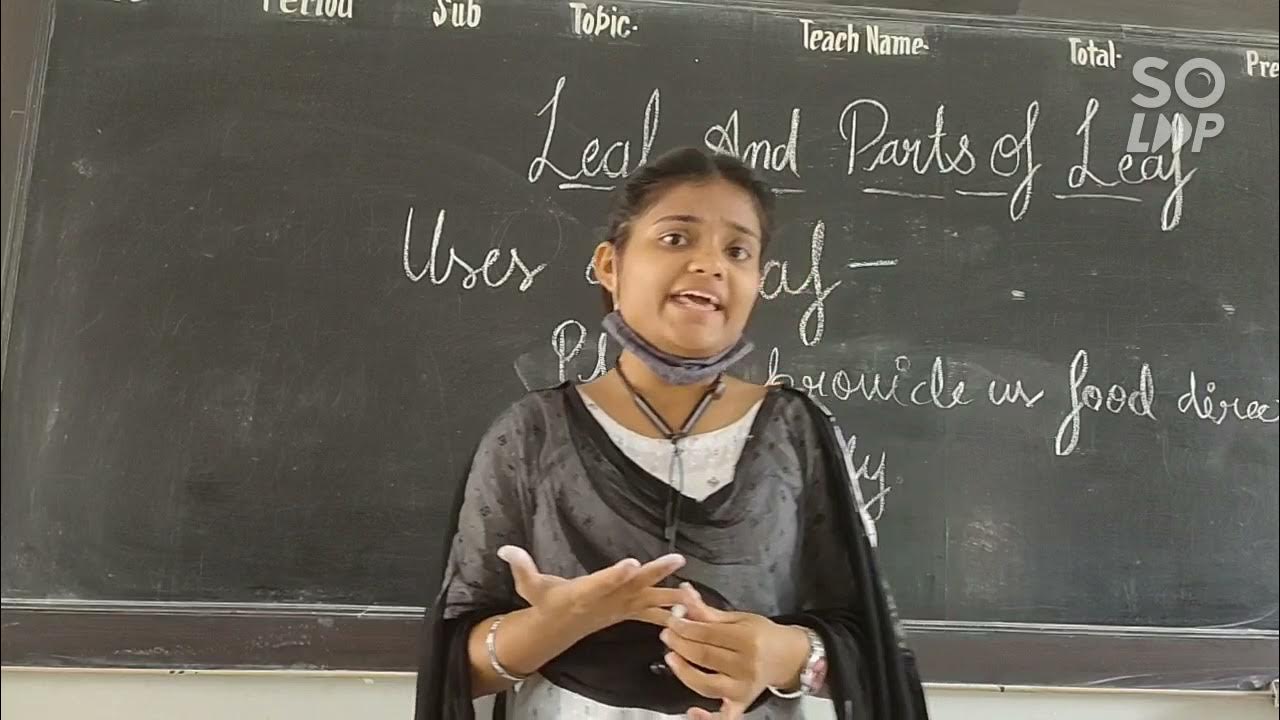 class-4th-subject-science-chapter-1-leaf-the-food-factory-of-plant