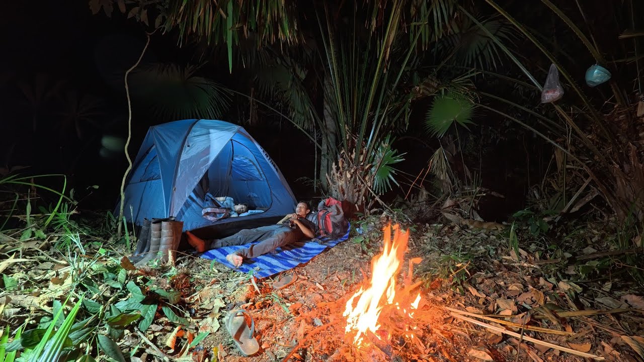 นอนกลางป่า สันเขาสูง กลางธรรมชาติ สำรวจสมุนไพร  กองไฟไล่สัตว์ กลางคืนปากดำเฝ้ายาม  หลับสบาย ep.212