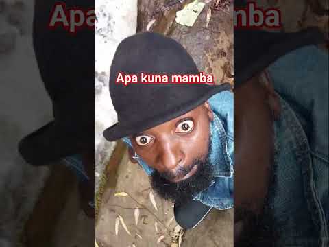 Cheki Mamba Alivyo Mfyeka Viralvideo Comedy Viralshorts Comedyvideos Mamba