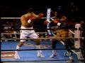 Daniel dancuta vs matthew brooks boxing ko superquality