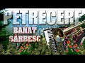 Muzica de petrecere  banat sarbesc