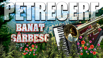 MUZICA DE PETRECERE – BANAT SARBESC...