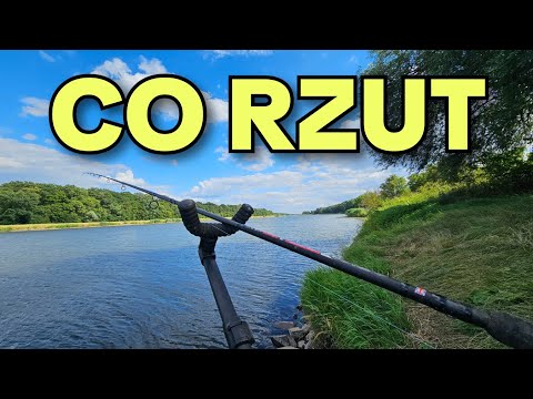 673 OLD WROCŁAW STOMPING GROUNDS - NEAR HOME BY THE ODER RIVER - CLASSIC FEEDER FISHING