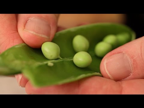 Getting to know the difference between Sugar snap and English peas hqdefault