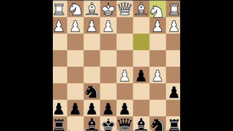 BENKO ZEITSEV SYSTEM EASY TRAP