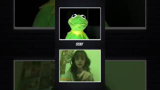 I'm not Elmo I'm Kermit🐸 #kermit #kermitthefrog #omegle