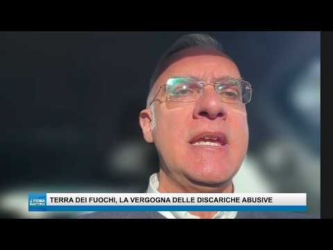 Video Le guardie ambientali del Wwf: Ecosistema compromesso, lottiamo tutti i giorni contro lo scempio