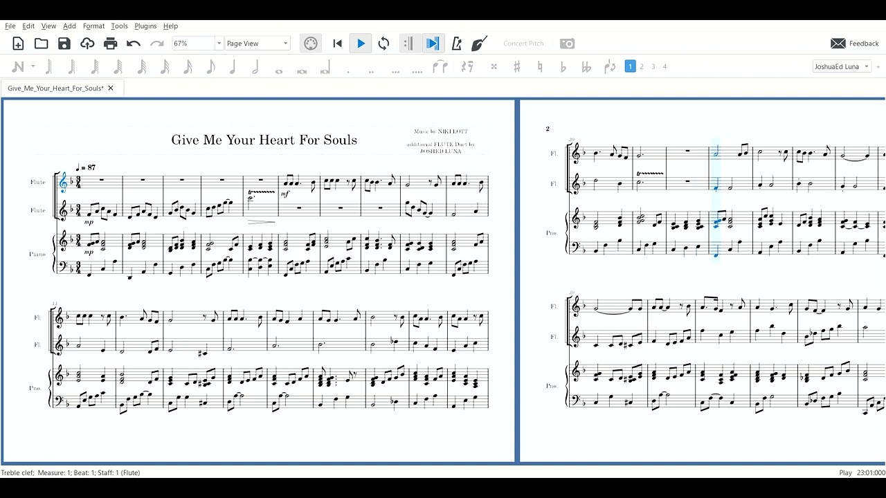 Lord, Give Me Your Heart For Souls