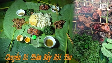 Chuyến Đi Thăm Bẫy Bội Thu, Sóc, Chuột Hun Khói, Sinh Tồn Hoang Dã