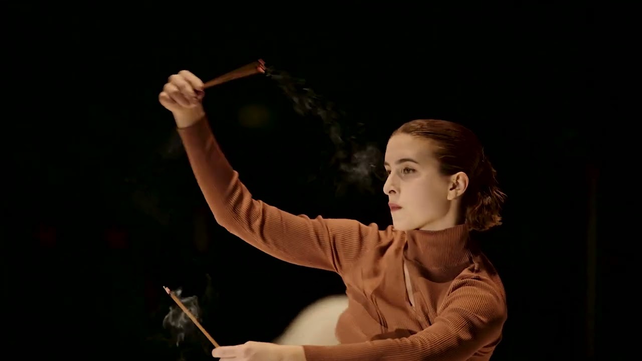 Neve, Paisagens, Máquinas, Animais a choreography by Né Barros 