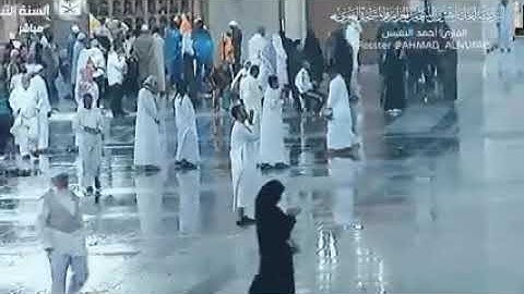 تلاوة رائعة للقارئ الشيخ أحمد النفيـس ماتيسـر من سـورة النمل