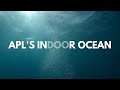 Apls indoor ocean