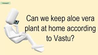 Can We Keep Aloe Vera Plant At Home According To Vastu?