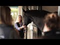 Palm beach equine clinic  make us part of your team