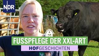 Chef weg, Strom weg, Kuh weg: Fußpflege auf dem Sophienhof läuft super! | Hofgeschichten (400) | NDR