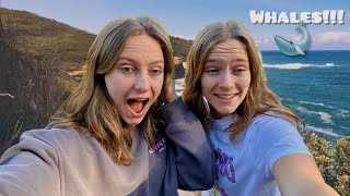 We Finally Saw Whales First Time Ever Sm