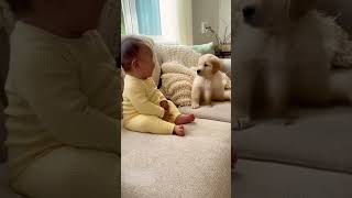 The Baby's Infectous Laught After His Sneeze Scares a Puppy is Everything 🤣🥰😂 #shorts