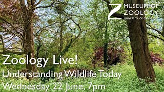 Zoology Live! Understanding Wildlife Today