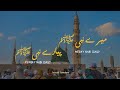 Mere Nabi Pyaare Nabi - Junaid Jamshed | Urdu Lyrics | Ft. Masjid Nabvi (Madina) | Realistic Talha