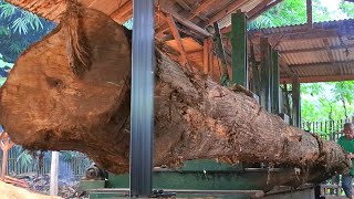 Amazing process of sawing 19 feet long teak wood