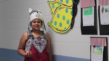 AES Summer Reading Challenge Week 2