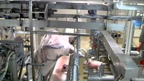 Scott - Automated Lamb Boning System 2011