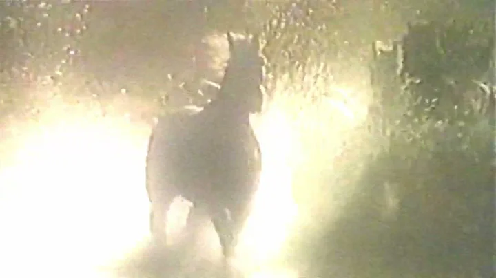 ∑V∑RYTHING - Horse Memory